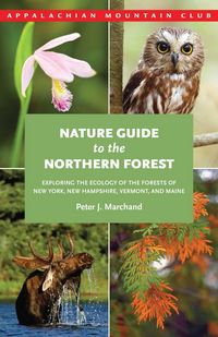 Produktbild: Nature Guide to the Northern Forest