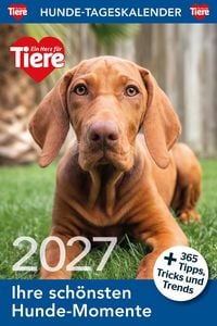 Produktbild: Hunde Tageskalender 2027