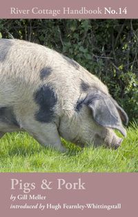 Produktbild: Pigs & Pork