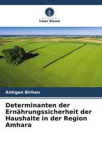 Produktbild: Determinanten der Ern&auml;hrungssicherheit der Haushalte in der Region Amhara
