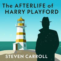 Produktbild: The Afterlife of Harry Playford