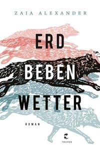 Produktbild: Erdbebenwetter