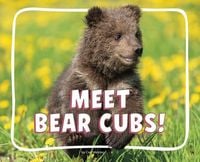 Produktbild: Meet Bear Cubs!
