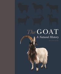 Produktbild: The Goat