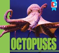 Produktbild: Octopuses