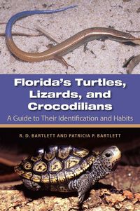 Produktbild: Florida's Turtles, Lizards, and Crocodilians