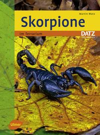 Bild vom Artikel Skorpione vom Autor Martin Watz