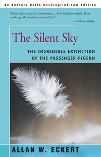 Produktbild: The Silent Sky