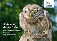 Produktbild: Steinkauz, Amsel & Co.