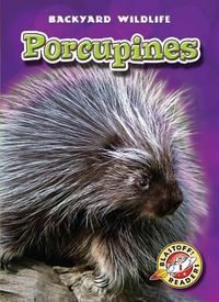 Produktbild: Porcupines