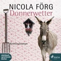 Produktbild: Donnerwetter - Ein Allg&auml;u-Krimi