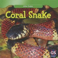 Produktbild: Coral Snake