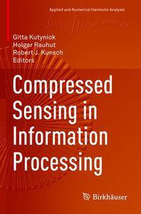 Produktbild: Compressed Sensing in Information Processing