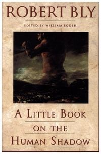 Produktbild: A Little Book on the Human Shadow