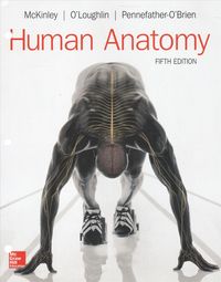 Produktbild: Gen Combo Ll Human Anatomy Con