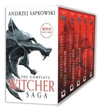 Bild vom Artikel The Witcher Boxed Set: Blood of Elves, the Time of Contempt, Baptism of Fire, the Tower of Swallows, the Lady of the Lake vom Autor Andrzej Sapkowski