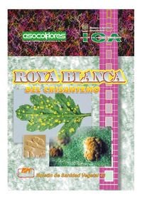 Produktbild: Roya blanca del crisantemo