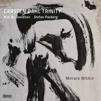 Produktbild: Mirrors Within