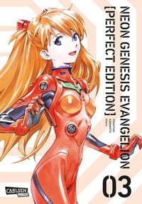 Produktbild: Neon Genesis Evangelion - Perfect Edition 3