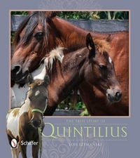 Produktbild: The True Story of Quintilius