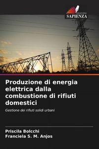 Produktbild: Produzione di energia elettrica dalla combustione di rifiuti domestici