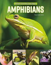 Produktbild: Amphibians