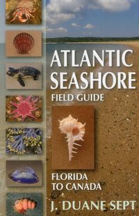 Produktbild: Atlantic Seashore Field Guide