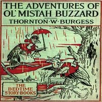 Produktbild: The Adventures of Old Mr. Buzzard