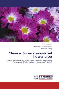 Produktbild: China aster an commercial flower crop