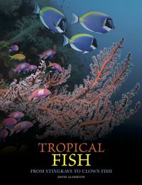 Produktbild: Tropical Fish