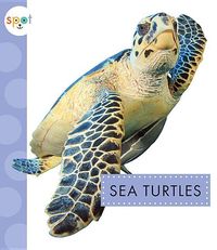 Produktbild: Sea Turtles