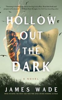 Produktbild: Hollow Out the Dark