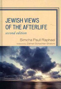 Produktbild: Jewish Views Of The Afterlife