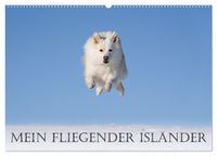 Produktbild: Mein fliegender Isl&auml;nder (Wandkalender 2026 DIN A2 quer), CALVENDO Monatskalender