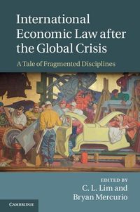 Produktbild: International Economic Law after the Global Crisis