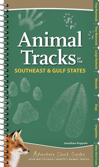 Produktbild: Animal Tracks of the Southeast & Gulf States