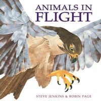 Produktbild: Animals in Flight