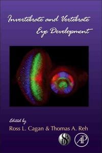 Produktbild: Invertebrate and Vertebrate Eye Development