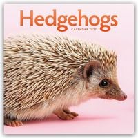 Produktbild: Hedgehogs &ndash; Igel 2027 &ndash; Wand-Kalender