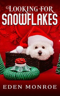 Produktbild: Looking For Snowflakes