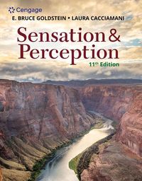 Produktbild: Sensation and Perception