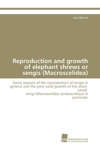Produktbild: Reproduction and growth of elephant shrews or sengis (Macroscelidea)