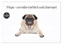 Produktbild: Mops - unwiderstehlich und charmant (Wandkalender 2027 DIN A2 quer), CALVENDO Monatskalender