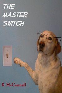 Produktbild: The Master Switch