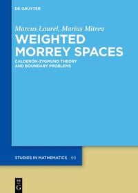 Produktbild: Weighted Morrey Spaces