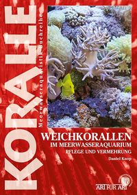 Produktbild: Weichkorallen im Meerwasseraquarium