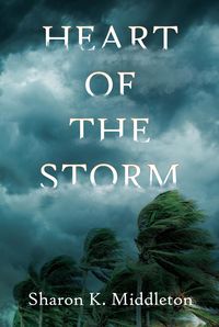 Produktbild: Heart of the Storm
