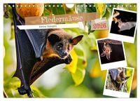 Produktbild: Flederm&auml;use - kleine Vampire (Wandkalender 2026 DIN A4 quer), CALVENDO Monatskalender