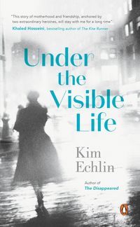 Produktbild: Under the Visible Life