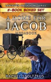 Produktbild: A Lancaster Home for Jacob 5-Book Boxed Set Bundle (A Lancaster Home for Jacob Boxed Sets, #1)